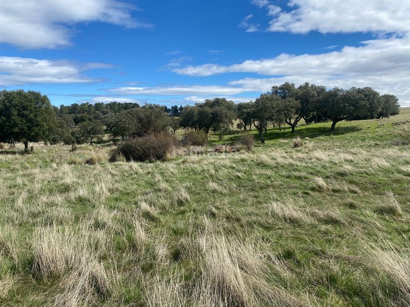 Foto 2e927c80-0876-42cc-98ec-e41361bc26bd. Finca rústica a Mohedas de la Jara