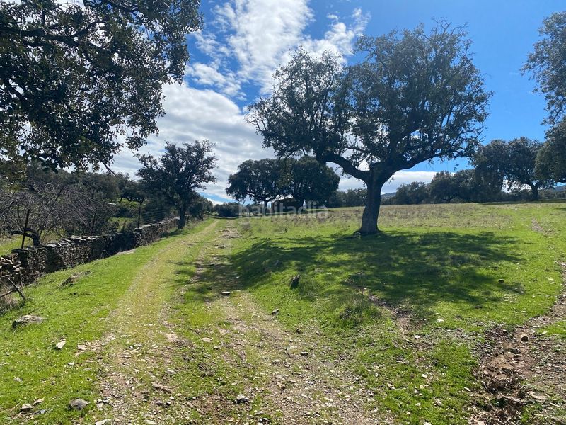 Foto 338bcd4b-ed60-4c7e-a1ce-7330b428bdc2. Finca rústica a Mohedas de la Jara