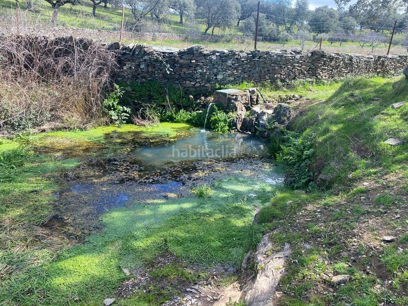 Foto 3894a4d3-a6c2-4738-b8e6-e0194d74b51a. Finca rústica a Mohedas de la Jara