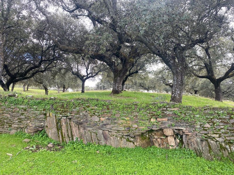 Foto 5205f811-b934-42f3-af2a-b1760a5b4252. Finca rústica a Mohedas de la Jara