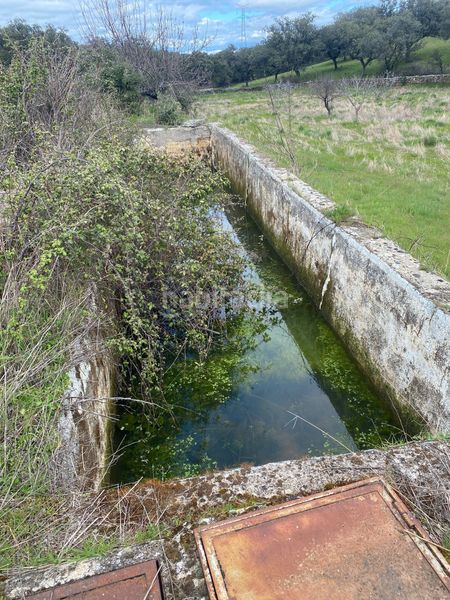 Foto 54daf5b0-171b-4d58-bf25-e8984fd3ce0a. Finca rústica a Mohedas de la Jara