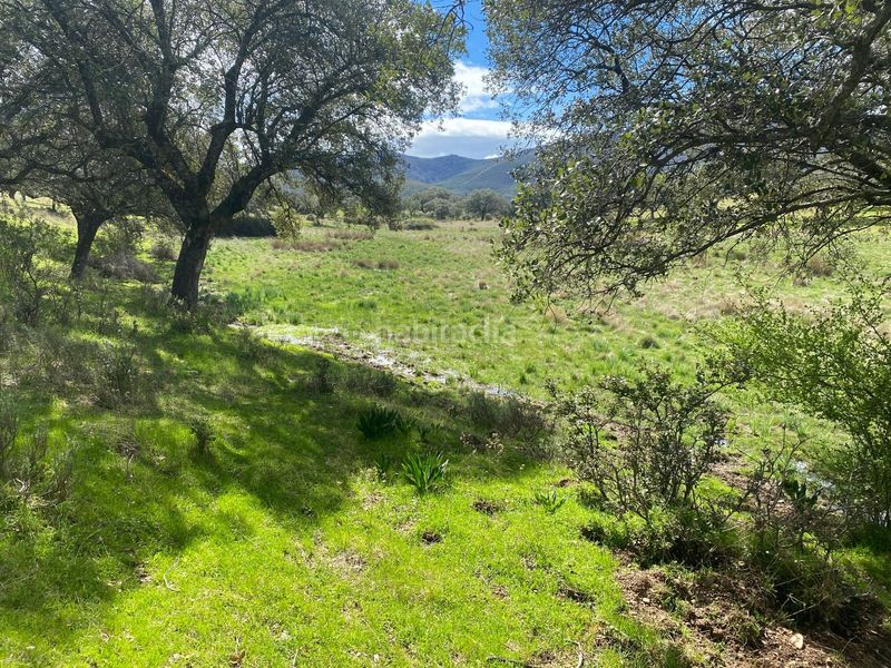 Foto 5db182b4-5a7c-47af-859d-e37cb13b9e67. Finca rústica a Mohedas de la Jara