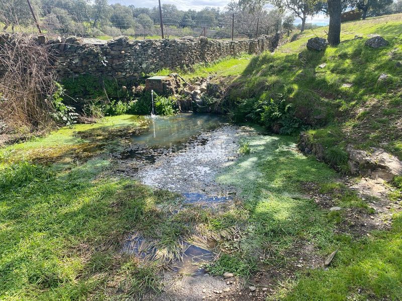 Foto 64617501-4983-44d9-b79b-dc0049ef6bb3. Finca rústica a Mohedas de la Jara