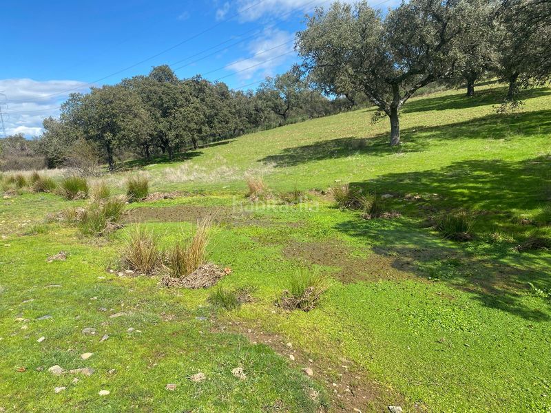 Foto 6eb79dc9-e3ca-49f8-9491-adb77308e7d2. Finca rústica a Mohedas de la Jara