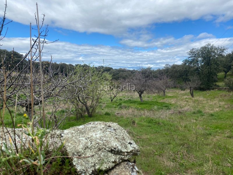 Foto 7784ff6a-5d2a-4836-aad3-117960f7f76c. Finca rústica a Mohedas de la Jara