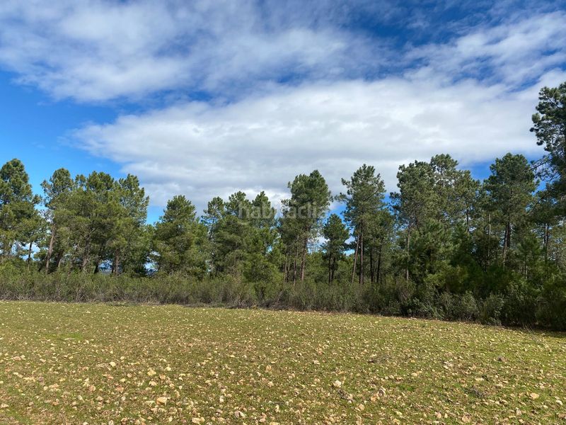 Foto 85f7a43e-b31c-4ef9-a2f0-cf67eae0890b. Finca rústica a Mohedas de la Jara