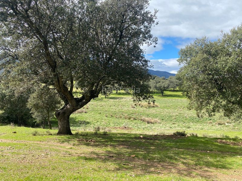 Foto 9a183ce6-334c-40fb-8f6b-2bcb7f92257c. Finca rústica a Mohedas de la Jara