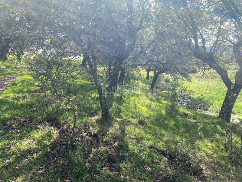 Foto d2a4dc34-5195-4ce7-a0ff-c81de72f4608. Finca rústica a Mohedas de la Jara