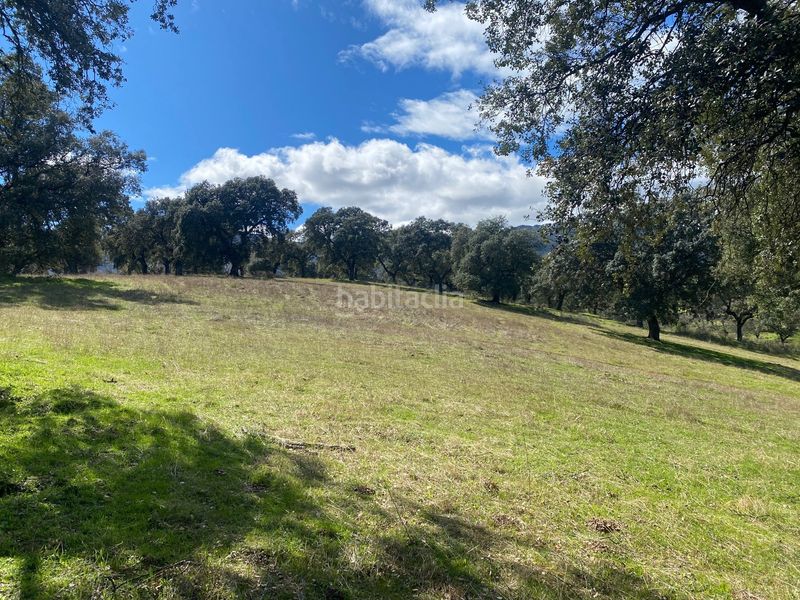 Foto d6f7ecab-45d9-410a-8869-e639b70811cf. Finca rústica a Mohedas de la Jara