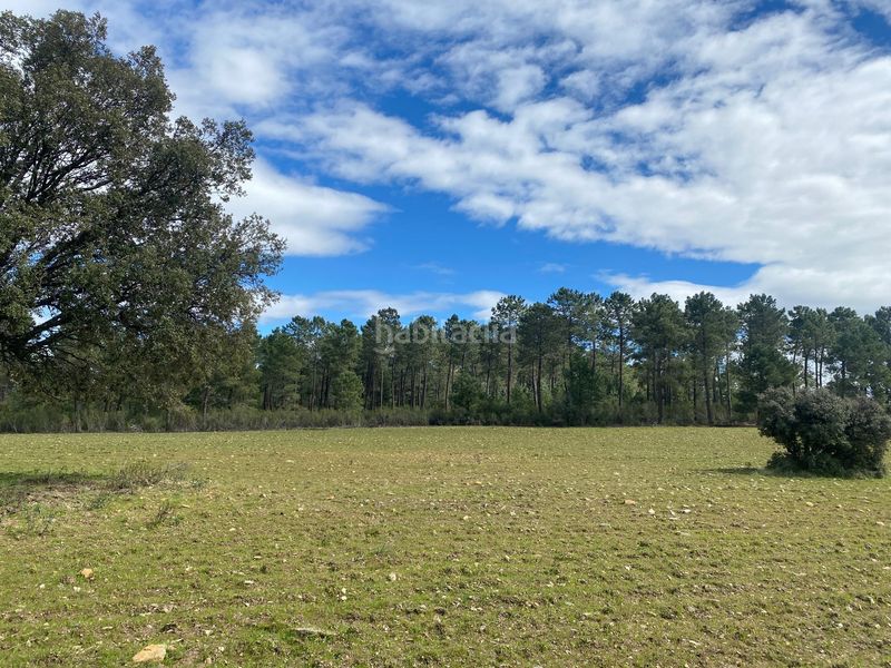 Foto eb0bfcb6-9c94-4f15-8626-87a045000cf3. Finca rústica a Mohedas de la Jara