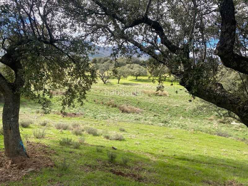 Foto edd41966-c358-42a9-add4-50b144b06120. Finca rústica a Mohedas de la Jara