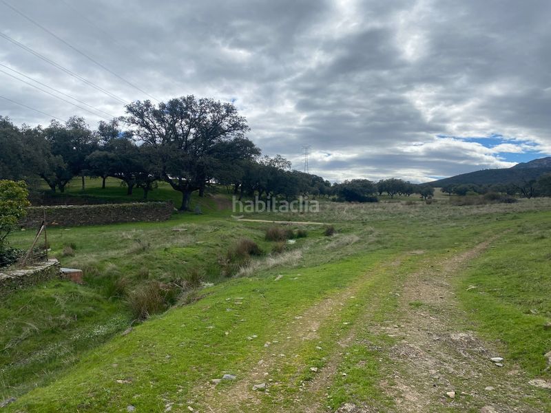 Foto ef709449-3d69-4146-95eb-956f94a138e4. Finca rústica a Mohedas de la Jara