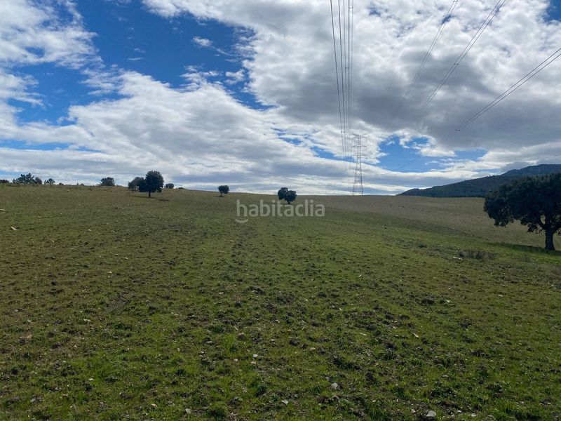 Foto f8d50efa-efe9-496d-93b7-81c0b078f90b. Finca rústica a Mohedas de la Jara