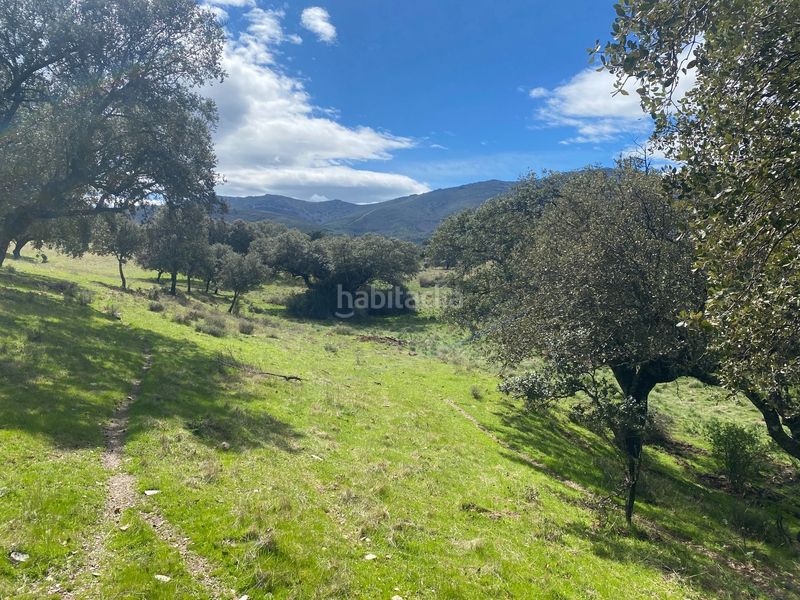 Foto fe29f11f-bee5-424c-bf95-dbec6c57dddf. Finca rústica a Mohedas de la Jara