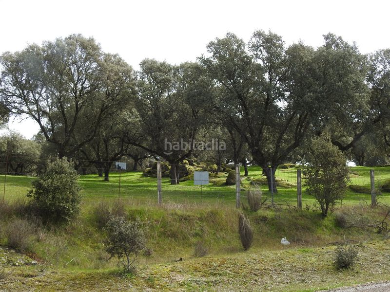Foto 19b2173d-7cda-44ac-827a-71d39c7190dd. Finca rústica en Navamorcuende