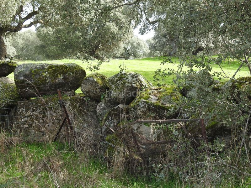 Foto 4530afe1-ad64-4564-9fb8-76e2ae3341d5. Finca rústica en Navamorcuende