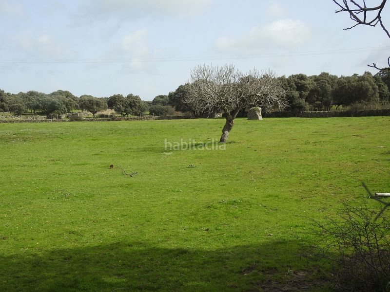 Foto 9695d764-834d-40e6-9610-7577b213a0e6. Finca rústica en Navamorcuende