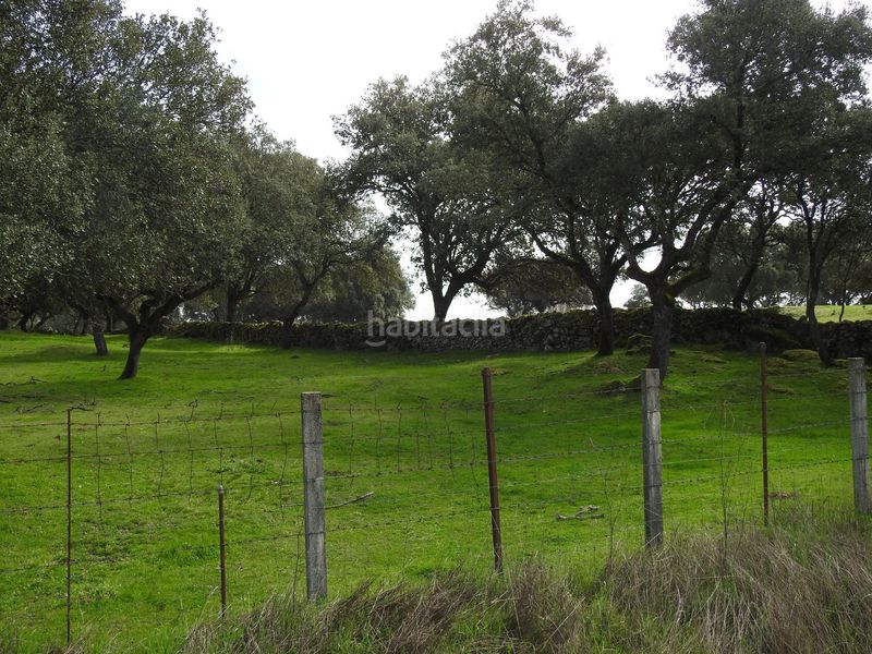 Foto ba2ac06c-1441-453e-be69-31f949a16b29. Finca rústica en Navamorcuende