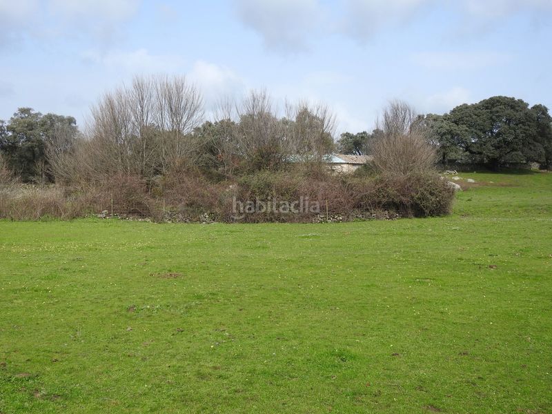 Foto ca4d592b-3342-4cc5-814f-08ace6577a23. Finca rústica en Navamorcuende