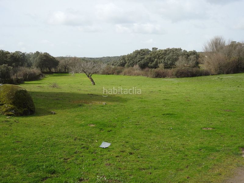 Foto e00dd6d1-329c-4e7c-8028-6648ade989cd. Finca rústica en Navamorcuende