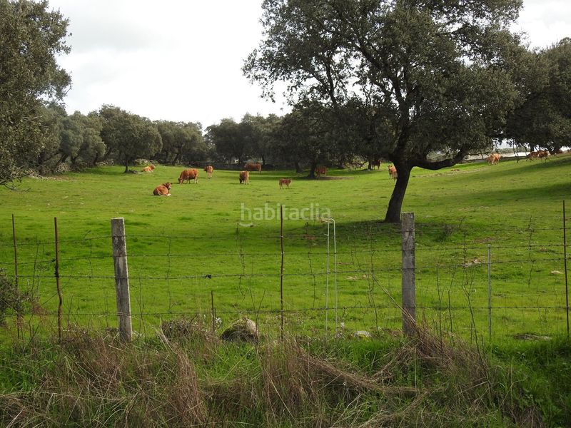 Foto f00dc7c8-55e4-44b3-8714-2e62d7d347e3. Finca rústica en Navamorcuende