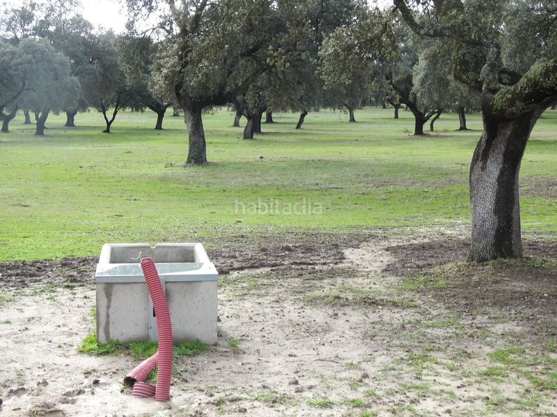 Foto 97d3a613-1073-47e5-a22c-d26dbd7a340f. Finca rústica a Torralba de Oropesa