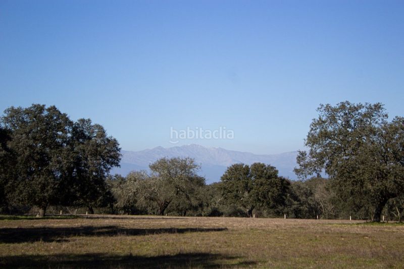 Foto bb0f0a26-42fe-4fd7-8509-3a71e8216554. Fondo rustico in Torralba de Oropesa
