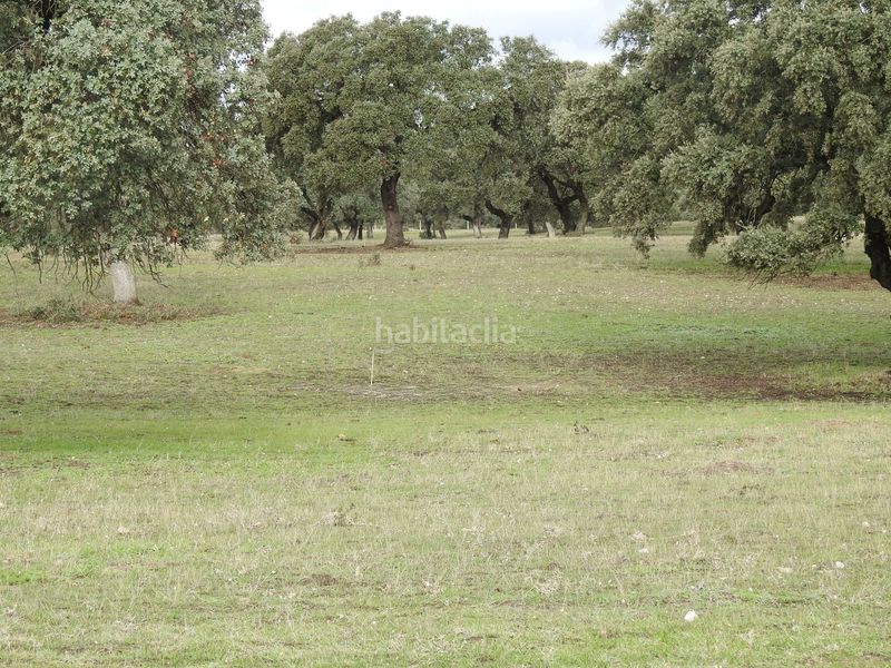 Foto c26c371e-ec08-407b-a9a7-d10599a72594. Fondo rustico in Torralba de Oropesa