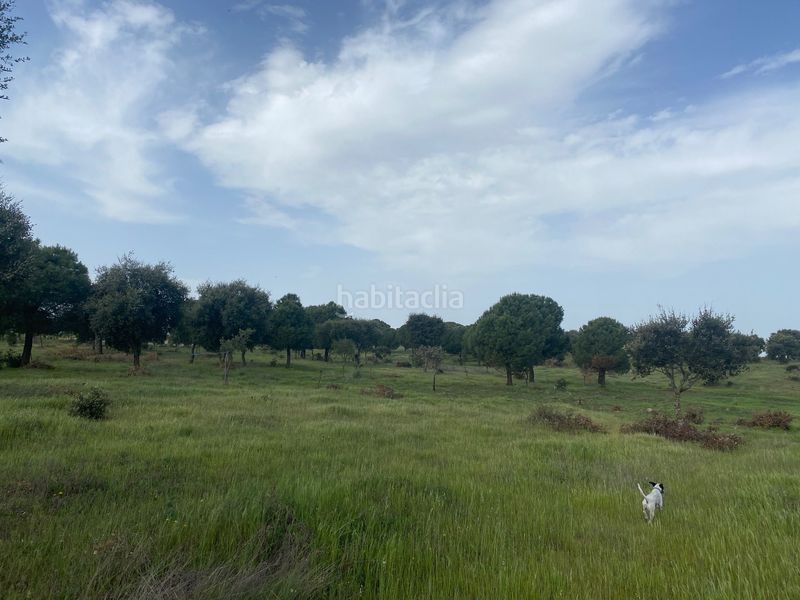 Foto 0cb89c7f-5b77-4ac6-b644-464f9ac0a833. Fondo rustico in Oropesa