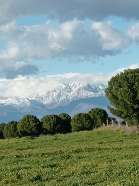 Foto 12dadf19-9a88-4a4f-90a5-c35a8f3aa7b5. Fondo rustico in Oropesa