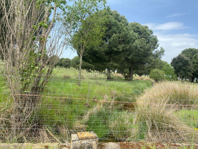 Foto 35cdd98c-a743-42f4-beaf-762e78cd8a90. Fondo rustico in Oropesa
