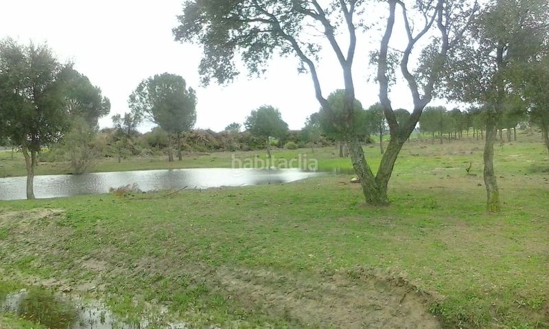 Foto af6a649d-7cdf-42e8-bce6-9e5302492277. Fondo rustico in Oropesa