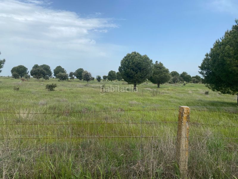 Foto c55b19ae-91cb-447b-8665-d3c8a6b89b90. Fondo rustico in Oropesa