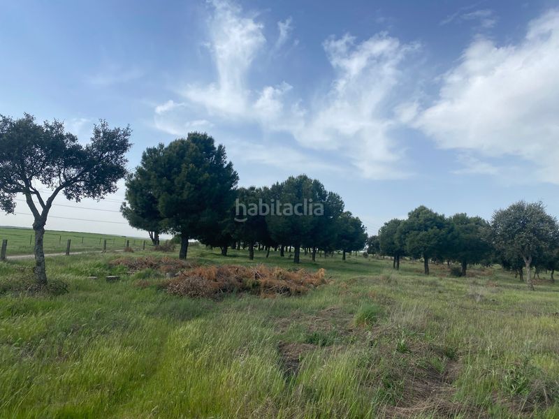Foto d0f614a9-4453-4c61-81ff-c7b15cf57c8b. Fondo rustico in Oropesa