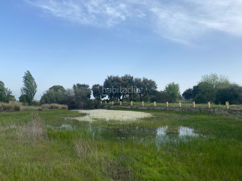 Foto d7d76eb7-8315-4198-b202-b93fa5a5bfe2. Fondo rustico in Oropesa