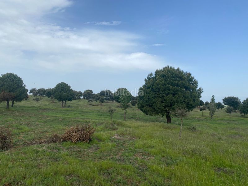 Foto ddb96dae-2ffc-4708-81d1-649eed69159e. Fondo rustico in Oropesa