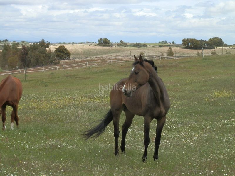 Foto 1da7f39d-a7d8-44df-aed4-620822c93433. Finca rústica en Méntrida