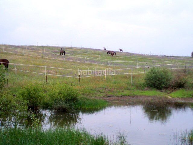 Foto 8c2778c9-2324-4b06-9176-0e333222e04d. Finca rústica en Méntrida