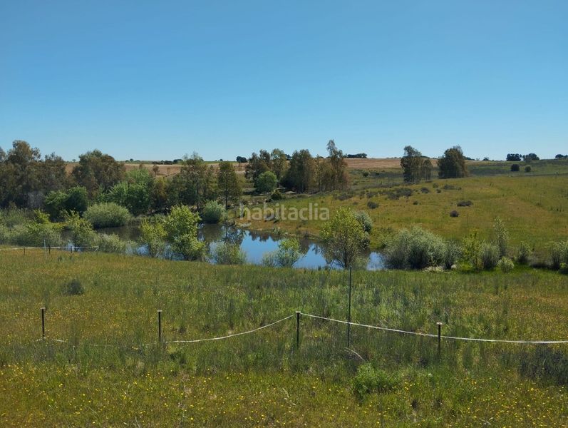 Foto ca055350-045a-4c16-ba4e-11e60bffa851. Finca rústica en Méntrida