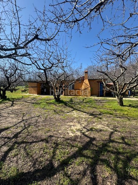 Foto 59823849-7ec8-4955-9341-d23dccaf64e8. Masia a Garganta la Olla