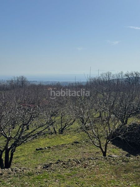 Foto a0f2836b-c894-4075-8811-b704389036b7. Masia a Garganta la Olla