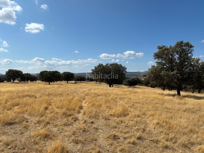 Foto 12fb4115-4d39-43d9-adae-aadac66b0ab8. Finca rústica a Mohedas de la Jara