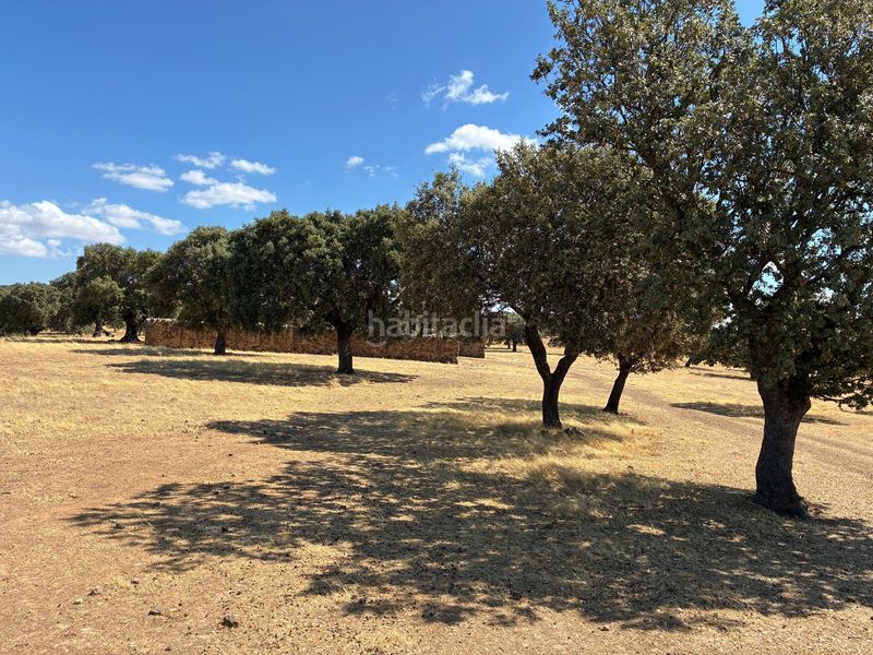 Foto b27adc56-4cb0-4930-89f4-03d1244845d7. Finca rústica a Mohedas de la Jara