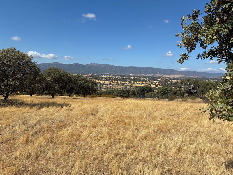 Foto ca033da6-a36b-4a4e-9fdd-3d036fc0387b. Finca rústica a Mohedas de la Jara