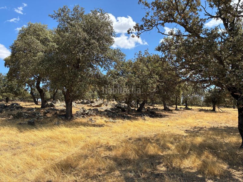 Foto d15e21fd-f369-48a1-bc3d-dd82ab68324e. Finca rústica a Mohedas de la Jara