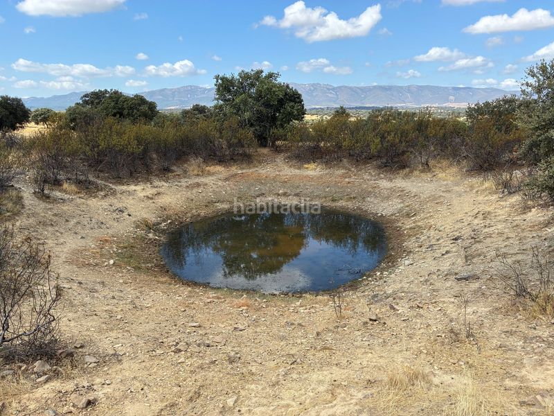 Foto e5f3f541-322f-4a3e-874a-65a37c2d42e1. Finca rústica a Mohedas de la Jara