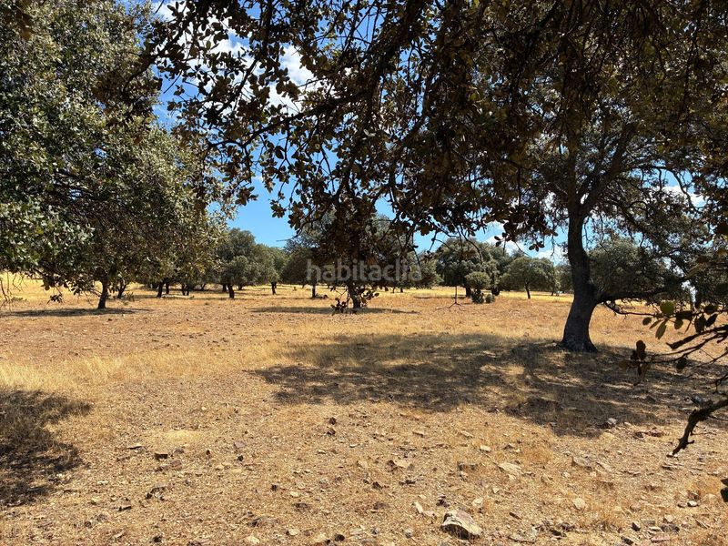 Foto fac14cf9-d7cf-4da5-80a4-54ec2440ca13. Finca rústica a Mohedas de la Jara