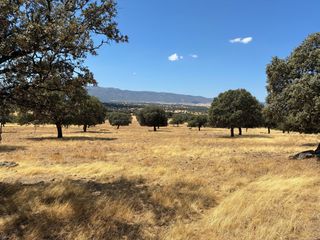 Finca rústica a Mohedas de la Jara