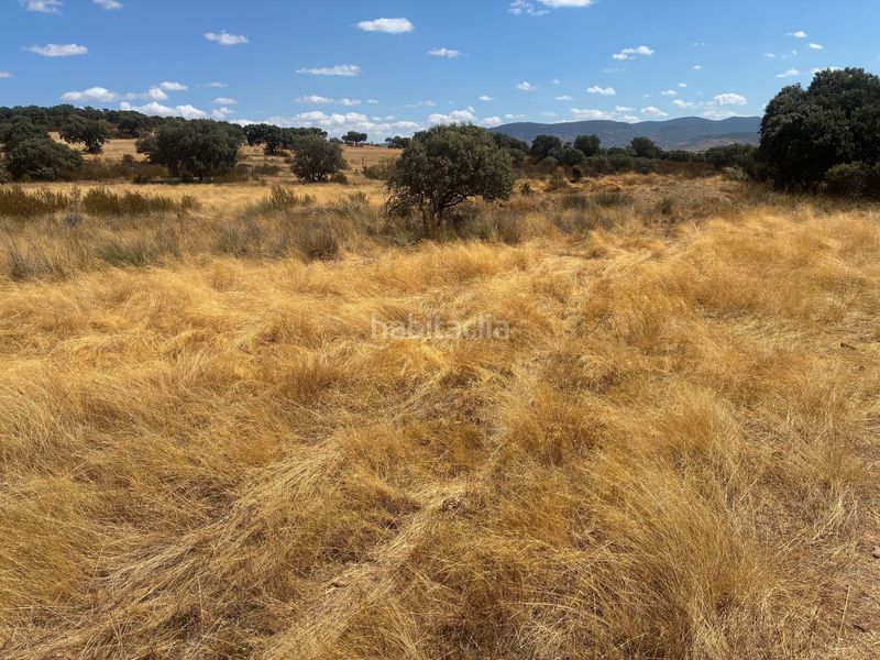 Foto a05d062f-0fd5-4fe0-93d2-807c76d6603e. Finca rústica a Mohedas de la Jara