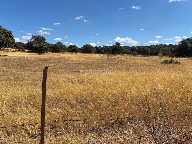 Foto fcc9e1da-d216-4551-bca7-60d6bb67204e. Finca rústica a Mohedas de la Jara